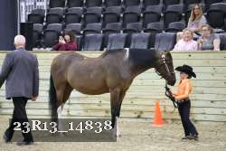 23R13_14838 proof