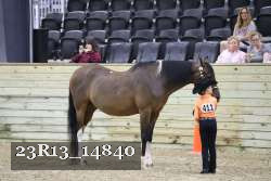 23R13_14840 proof