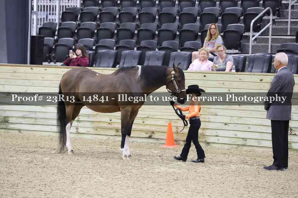 Proof 23R13_14841