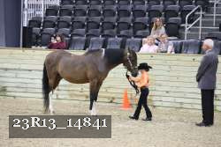 23R13_14841 proof