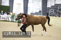 23R13_14855 proof