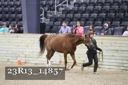 23R13_14857 proof