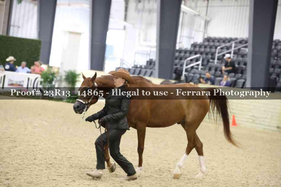 Proof 23R13_14865