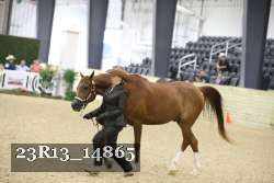 23R13_14865 proof