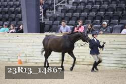 23R13_14867 proof