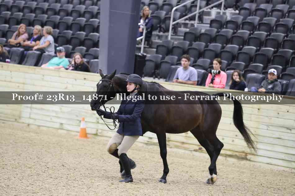 Proof 23R13_14871