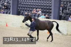 23R13_14872 proof