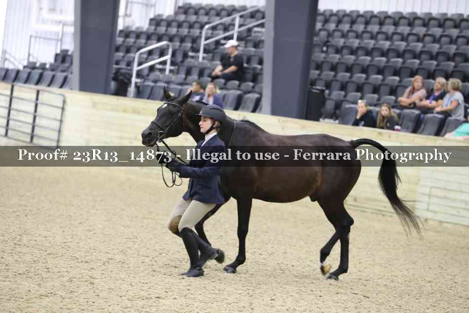 Proof 23R13_14873