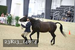 23R13_14874 proof