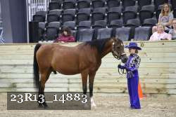 23R13_14883 proof