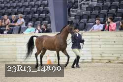 23R13_14890 proof
