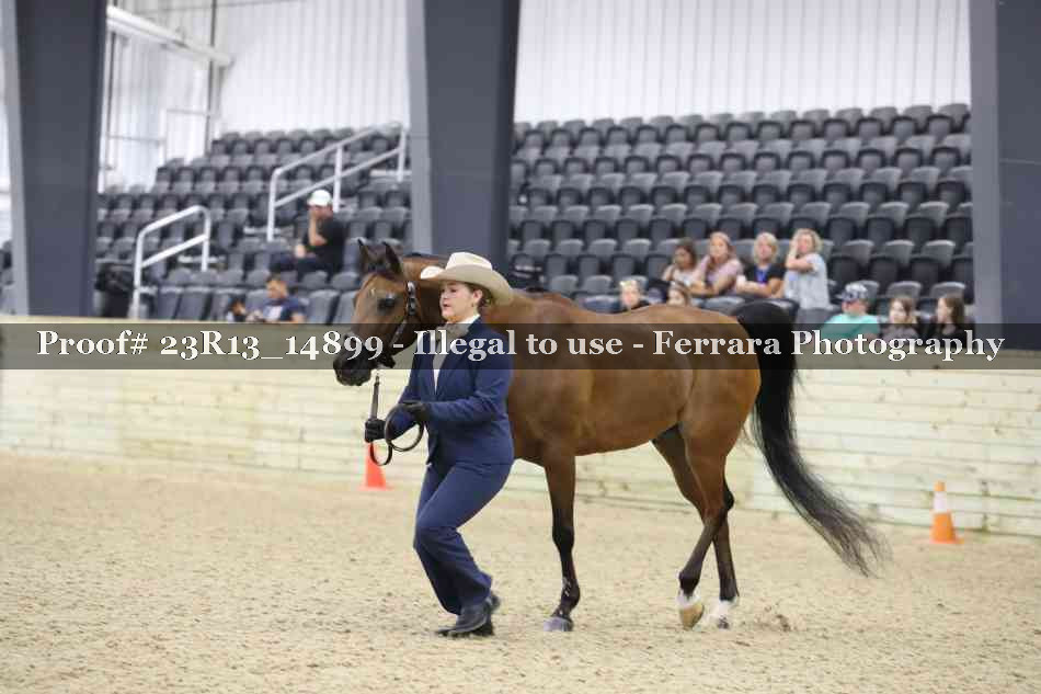 Proof 23R13_14899