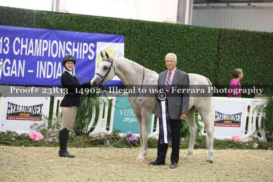 Proof 23R13_14902