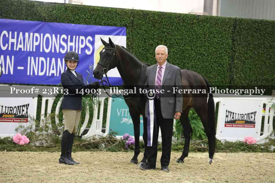 Proof 23R13_14903