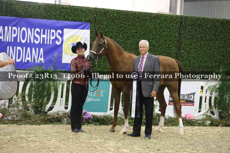 Proof 23R13_14906