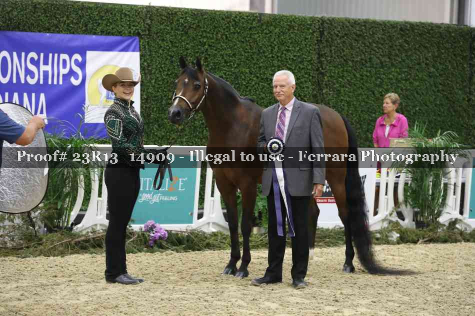 Proof 23R13_14909
