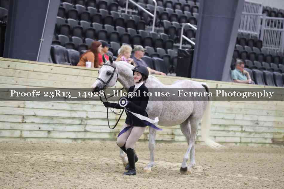Proof 23R13_14928