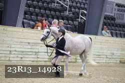 23R13_14928 proof