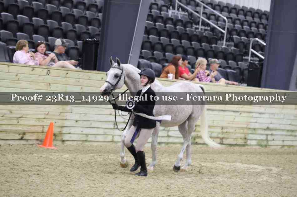 Proof 23R13_14929