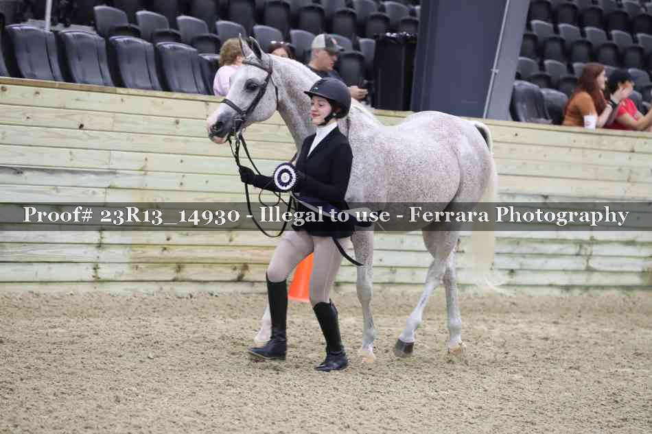 Proof 23R13_14930