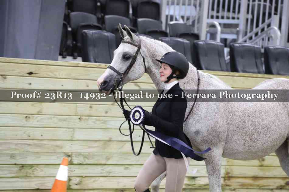 Proof 23R13_14932
