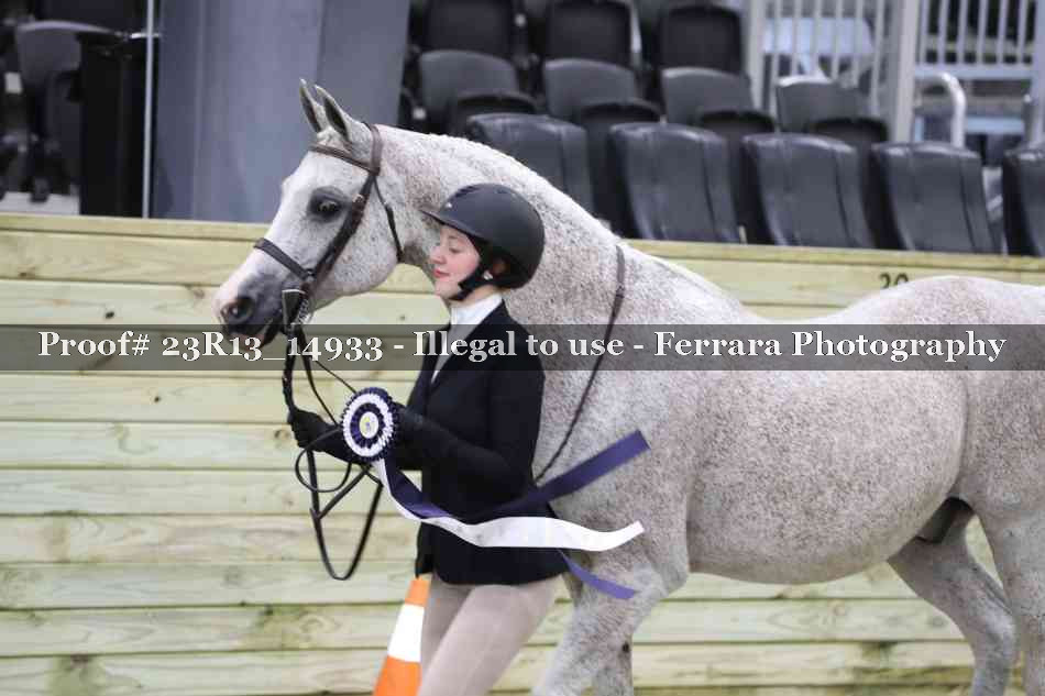 Proof 23R13_14933