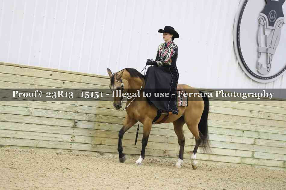 Proof 23R13_15151