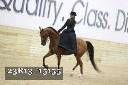 23R13_15155 proof