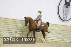 23R13_15201 proof