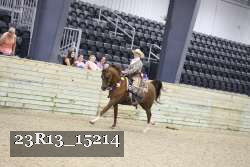 23R13_15214 proof