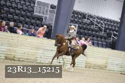 23R13_15215 proof