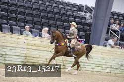 23R13_15217 proof