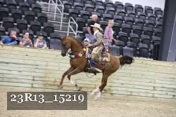 23R13_15219 proof