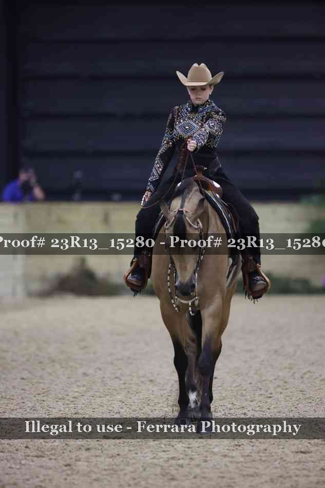 Proof 23R13_15280