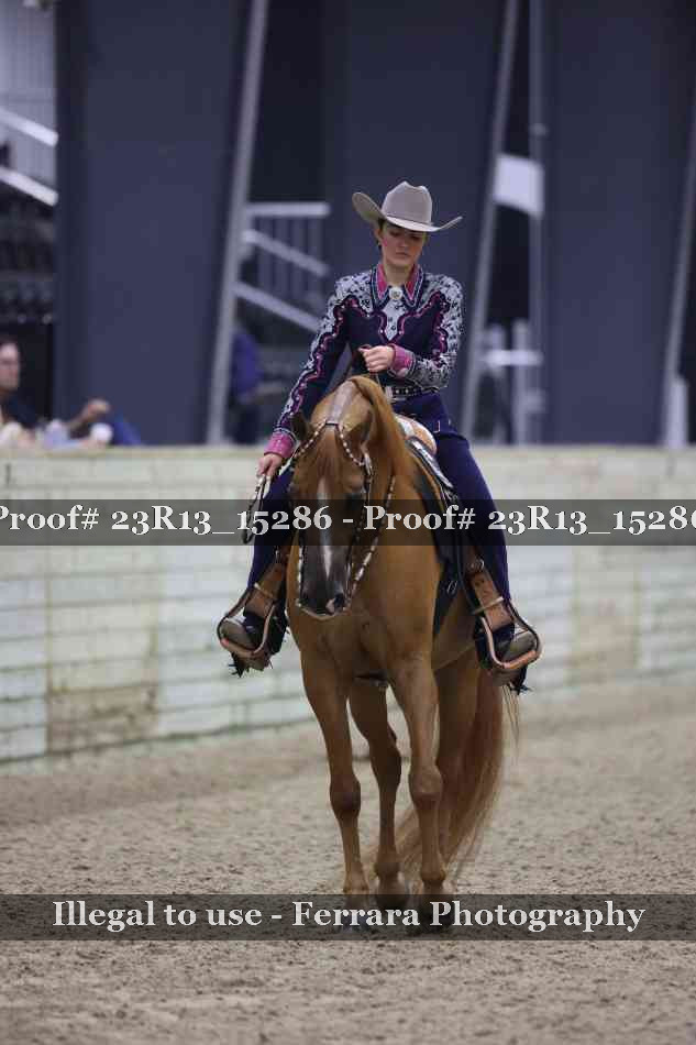 Proof 23R13_15286