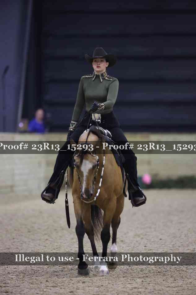 Proof 23R13_15293