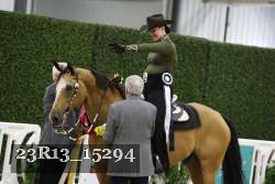 23R13_15294 proof