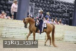 23R13_15310 proof