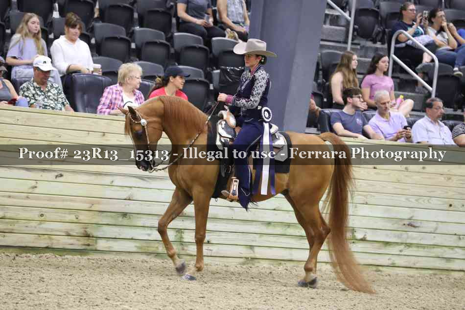 Proof 23R13_15313