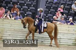23R13_15314 proof