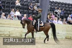 23R13_15317 proof