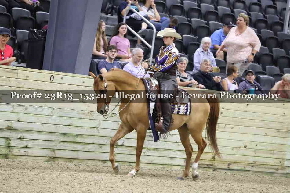 Proof 23R13_15320