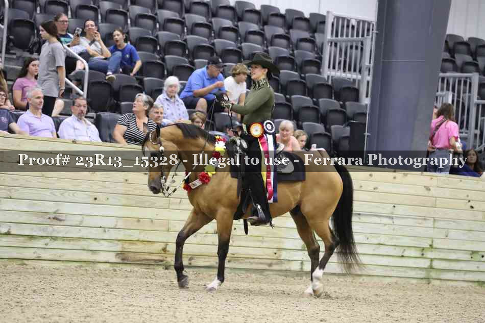 Proof 23R13_15328