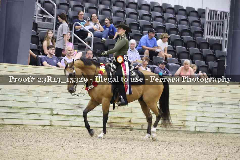 Proof 23R13_15329