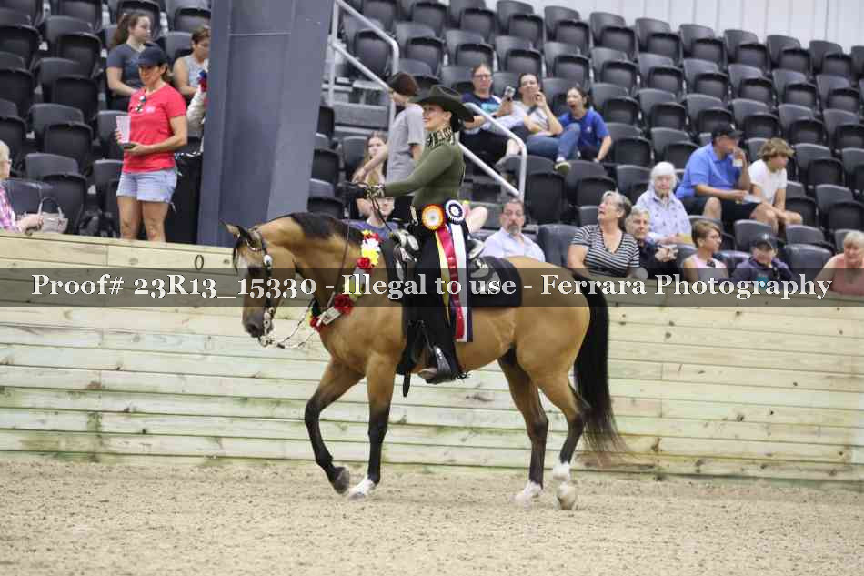 Proof 23R13_15330