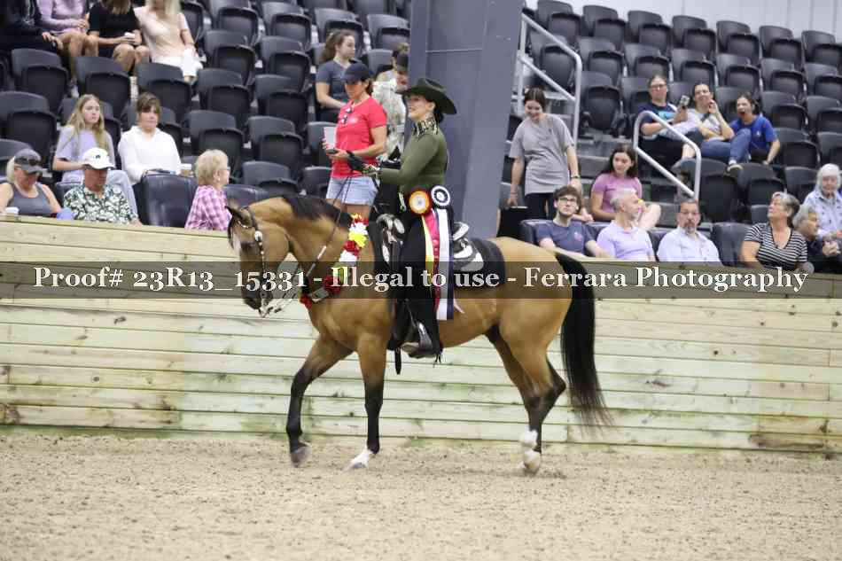 Proof 23R13_15331