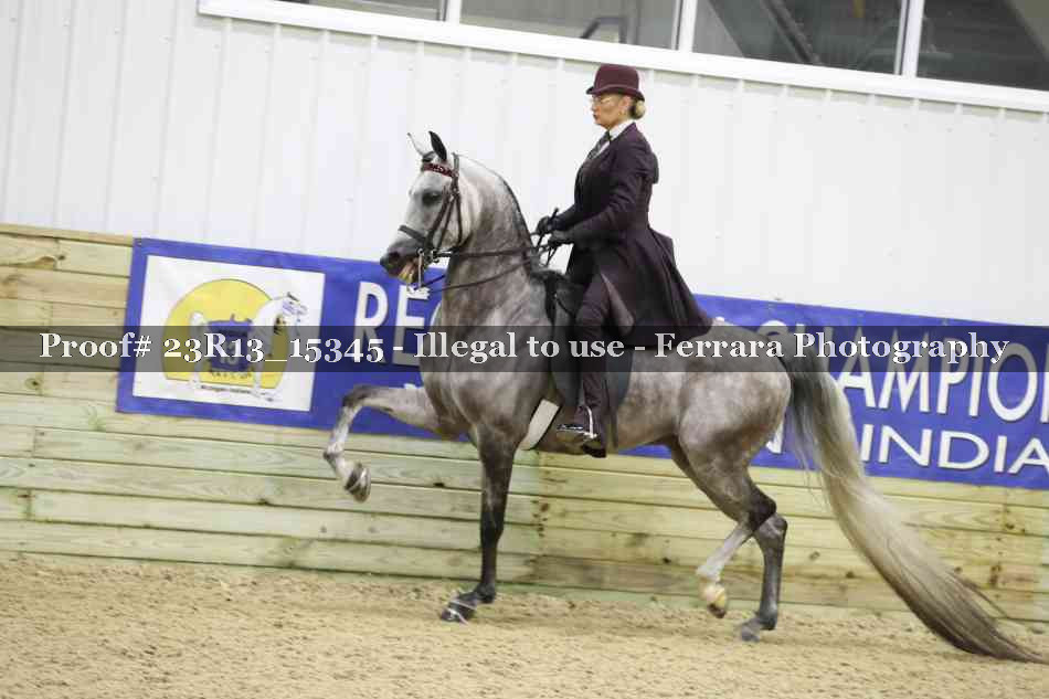 Proof 23R13_15345