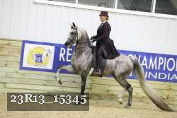 23R13_15345 proof