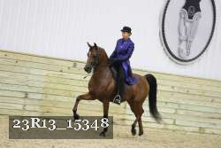 23R13_15348 proof