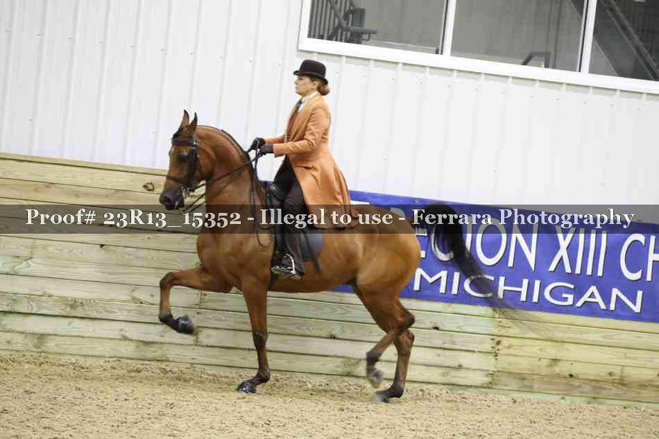 Proof 23R13_15352